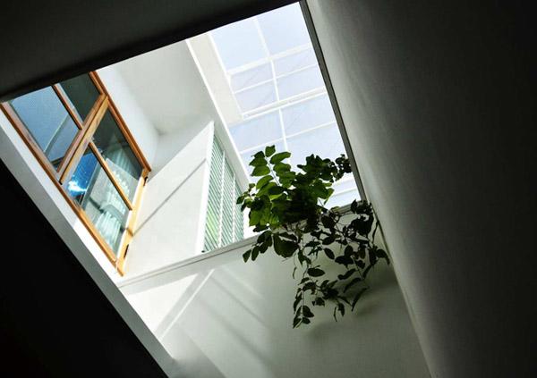 cat vat mat tien, nha ong o nha trang luon ngap tran anh sang - 16