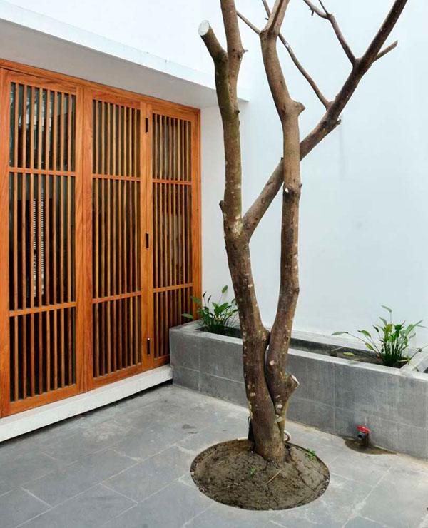 cat vat mat tien, nha ong o nha trang luon ngap tran anh sang - 5