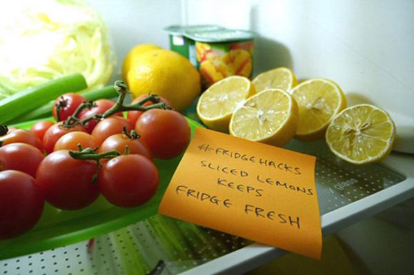 cat trong tu lanh ca thang ma qua chanh van cang mong, tuoi roi chi nho mot to bao cu - 1