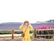 Xem ăn chơi - "Lịm tim" trước cánh đồng hoa lavender tím biếc ở Đà Lạt