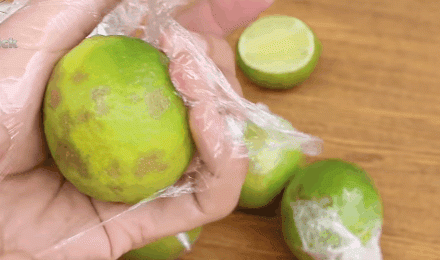 cat trong tu lanh ca thang ma qua chanh van cang mong, tuoi roi chi nho mot to bao cu - 10