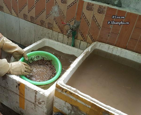 Học ông bố Hà Nội cách chăm 5000 cây sen đá đẹp amp;#34;mãn nhãnamp;#34;, ai nhìn cũng phải mê - 5