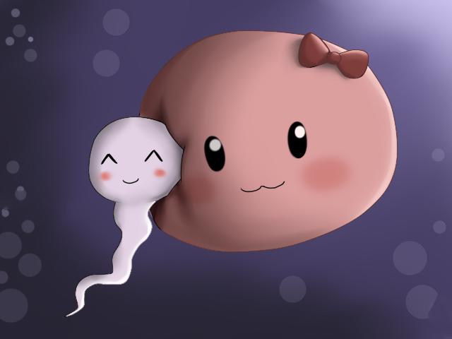 6 dấu hiệu báo sắp đến ngày rụng trứng, mẹ muốn có bầu nên biết