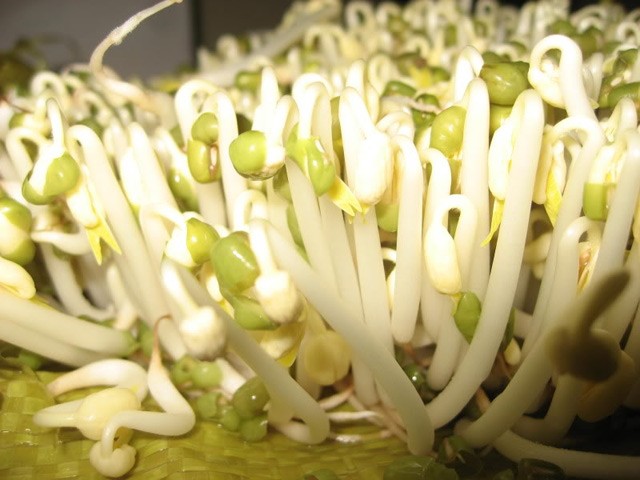 Dùng tinh hàu biển OB và những thực phẩm này tinh trùng yếu mấy cũng khỏe - 4