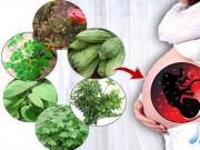 Bà bầu - 6 loại rau mẹ bầu cần hạn chế ăn nếu không muốn làm hại con