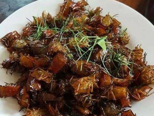 Bọ xít rang, món đặc sản Sơn La thách thức những tín đồ ẩm thực