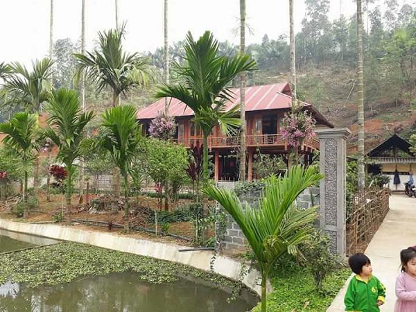 Lạ mà hay: Cho lan amp;#34;sống chungamp;#34; với cây cau, ngắm hoa đẹp ngỡ ngàng - 5