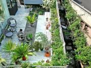 Nhà đẹp - Choáng ngợp "vườn hoa gác mái" hơn 500 loài của cặp vợ chồng trẻ, ai cũng phải xuýt xoa