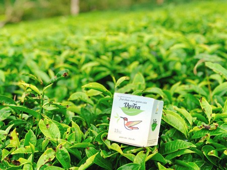 Trà giảm cân Vy Tea chất lượng tạo nên thương hiệu - 3