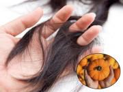 Sức khỏe - Hi hữu: Ăn bí đỏ ai ngờ rụng "sạch sành xanh" lông trên người