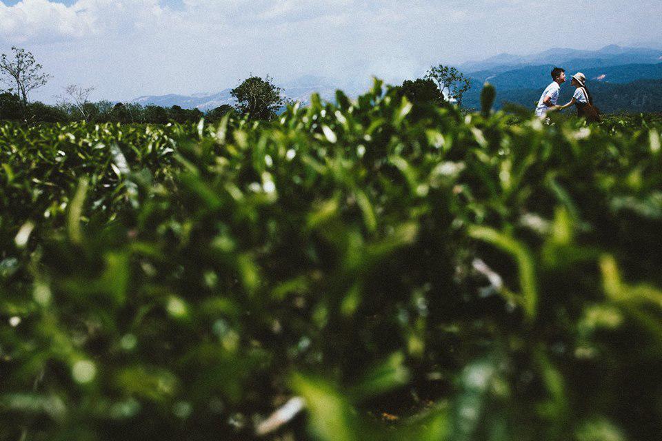 Ngủ gật lúc chàng tỏ tình, nàng choáng váng khi hôm sau chàng tới nhà đòi ra mắt - 15