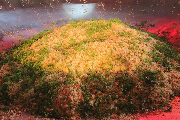 Vua đầu bếp 2015 Thanh Cường dùng 350 quả trứng, 70kg gạo làm chảo cơm chiên lớn nhất Việt Nam - 4