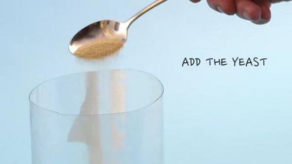 Cả bầy muỗi sẽ phải lao vào “xin chết” với chiếc bẫy đơn giản ai cũng làm được này - 4