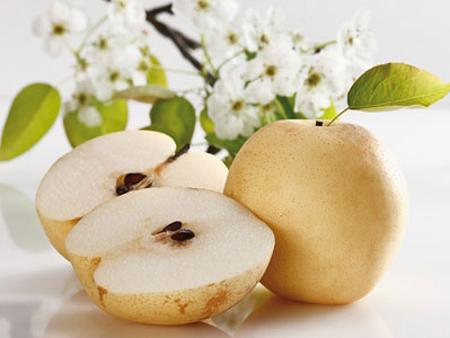 Trẻ 6 tháng tuổi nên ăn gì để phát triển tốt? - 2