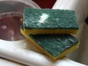 Clip Eva - Viêm màng não có thể bị lây từ chính miếng rửa bát trong bếp nhà bạn