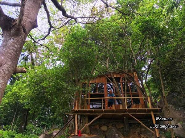 bo pho len rung, vi dao dien tu tay xay nha go dep ngo ngang giua dai ngan, bien khoi - 6