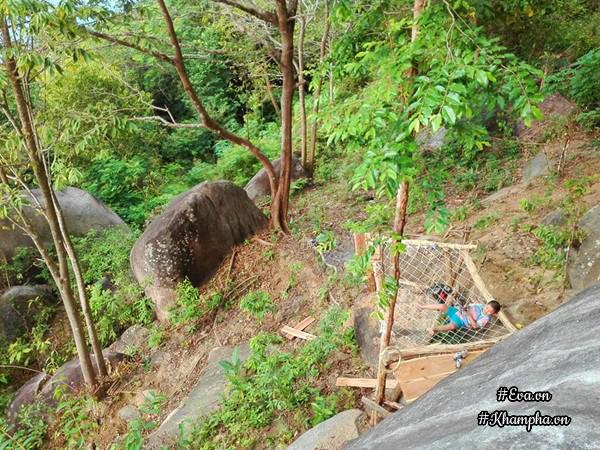 bo pho len rung, vi dao dien tu tay xay nha go dep ngo ngang giua dai ngan, bien khoi - 9