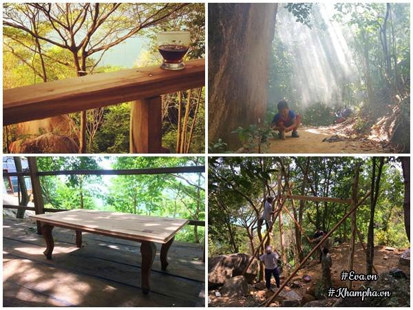 bo pho len rung, vi dao dien tu tay xay nha go dep ngo ngang giua dai ngan, bien khoi - 5