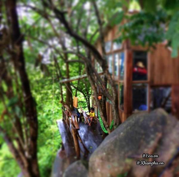 bo pho len rung, vi dao dien tu tay xay nha go dep ngo ngang giua dai ngan, bien khoi - 10