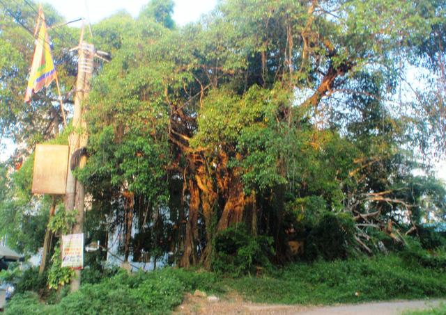 Lá thư tuyệt mệnh người đàn ông treo cổ tự tử vì bị vu oan trộm điện thoại viết gì? - 1
