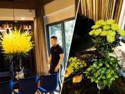 Nhà đẹp - Chẳng ngờ ở một mình mà căn hộ của "ông trùm chân dài" lại nhiều hoa đẹp như thế