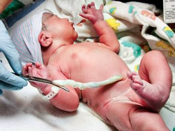Quy trình lưu trữ máu cuống rốn cho bé sau sinh, chữa gần trăm bệnh nan y nguy hiểm