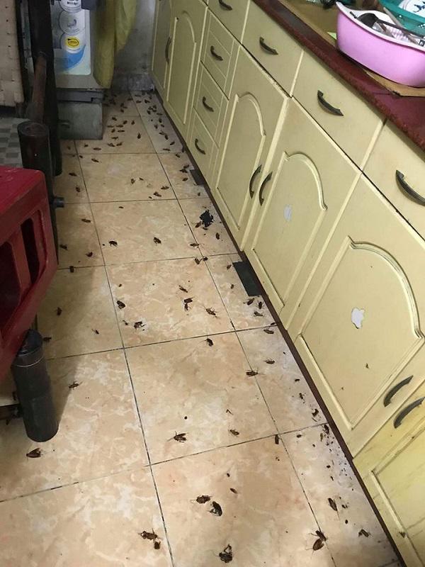 om du loai vi khuan, chat ban "kinh hoang" vao nguoi vi thoi quen dung dep dap gian sai lam - 3