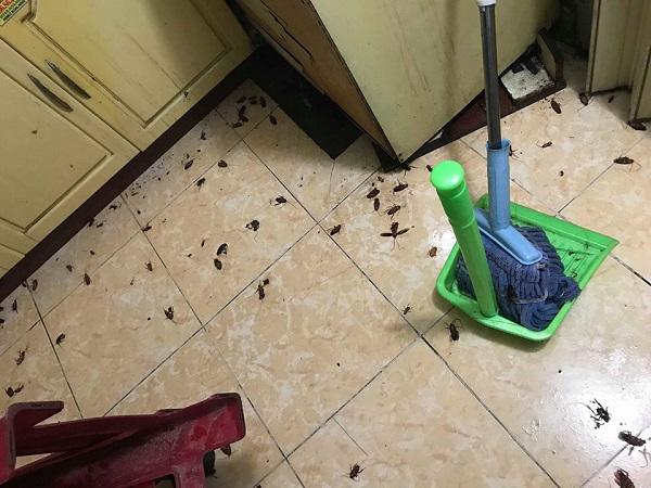 om du loai vi khuan, chat ban "kinh hoang" vao nguoi vi thoi quen dung dep dap gian sai lam - 4