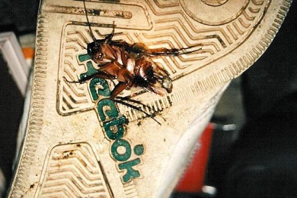 om du loai vi khuan, chat ban "kinh hoang" vao nguoi vi thoi quen dung dep dap gian sai lam - 6