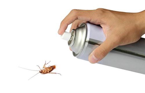 om du loai vi khuan, chat ban "kinh hoang" vao nguoi vi thoi quen dung dep dap gian sai lam - 7