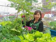 Nhà đẹp - Ngưỡng mộ bà mẹ Hà thành trồng rau, nuôi chim gà trên sân thượng