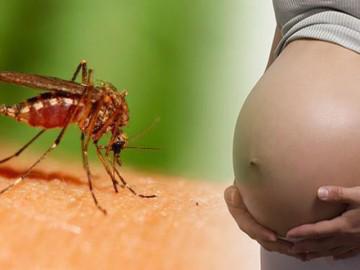 Hè đến, mẹ bầu khổ sở vì bị muỗi cắn, làm thế nào để phòng tránh?