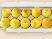 Sức khỏe - Nhờ vào bức ảnh 12 quả chanh, người phụ nữ bất ngờ phát hiện bị ung thư vú