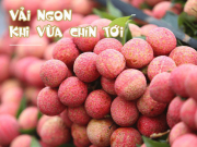 Bếp Eva - Mẹo chọn vải ngọt lịm tim, không hề bị sâu đầu chưa chắc chị em đã biết
