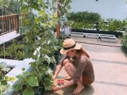 Nhà đẹp - Vườn rau trái mướt mắt đủ loại ngon sạch trên sân thượng của Hoa hậu Quý bà Phương Lê