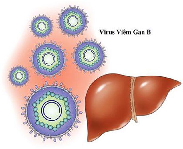 Bạn đã biết viêm gan B lây qua đường nào? - 2