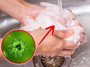 Bếp Eva - Những loại thực phẩm nên và không nên rửa trước khi dùng, có đến 99% chị em đang làm sai