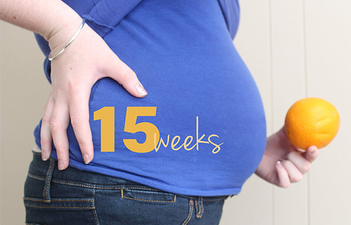 Thai nhi 15 tuần tuổi: Đôi tai bắt đầu hoạt động - 2