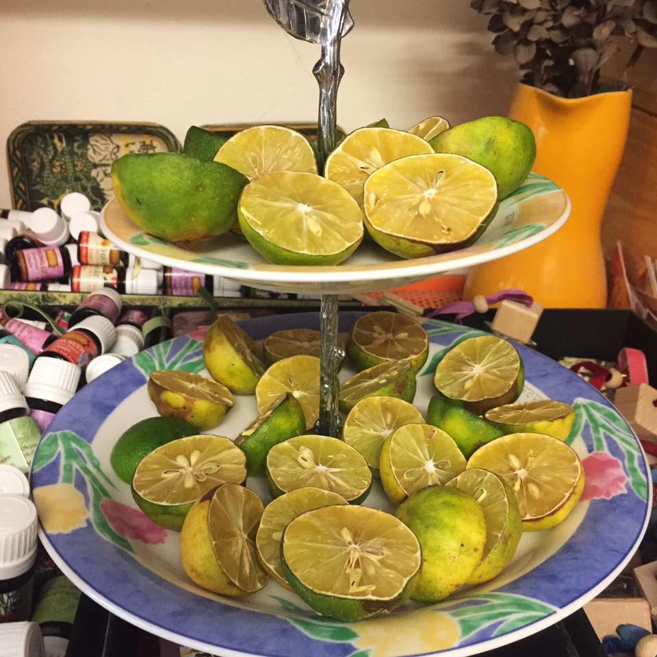 3 cach duoi muoi bang vo buoi cuc don gian, de lam duoi sach muoi cho nha co tre nho - 4