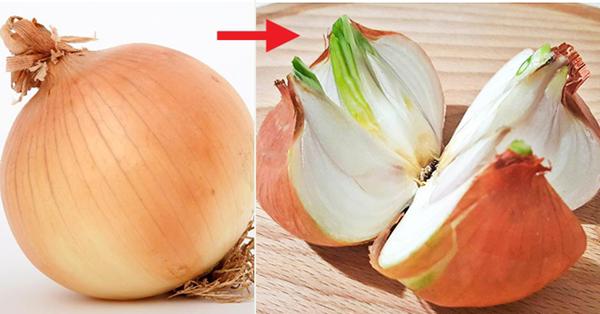 Bài thuốc tắm nước lá me cho con để trị cảm cúm, long đờm được mẹ Thái Lan truyền đời - 3