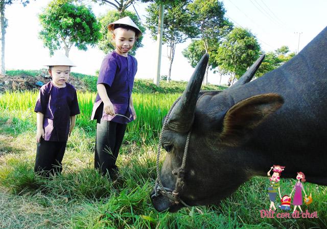 [Bài dự thi - MS09] Dắt con đi chơi: Dã ngoại ngày hè - 2