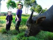 Làm mẹ - [Bài dự thi - MS09] Dắt con đi chơi: Dã ngoại ngày hè