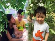 Nhà đẹp - Phát thèm khu vườn đủ loại cây trái sai trĩu quả của diễn viên Lê Phương
