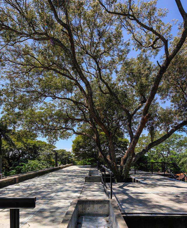 "me met" can nha cuc mat nam giua rung, nguoi nguoi muon vao tranh nong - 2