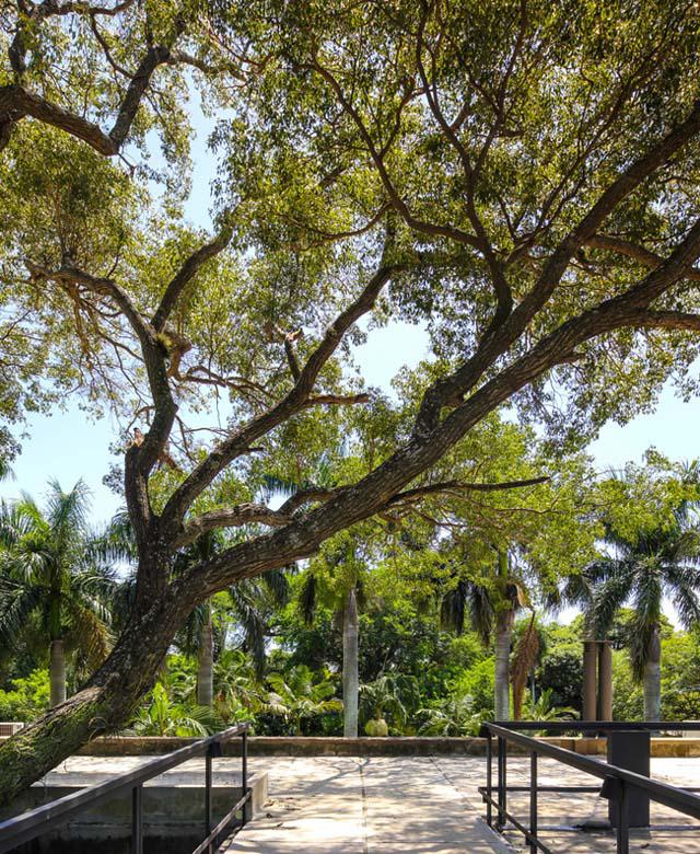 "me met" can nha cuc mat nam giua rung, nguoi nguoi muon vao tranh nong - 5