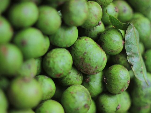 Không chọn sấu có vỏ xanh mướt, mẹ chồng tưởng con dâu vụng, nào ngờ về mới biết lý do