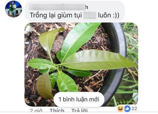 Nghe MXH là amp;#34;con dao hai lưỡiamp;#34;, chàng trai đăng ảnh xoài xem có gọt được không và cái kết - 5