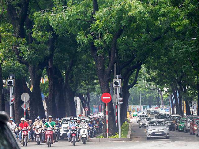 Hình ảnh gây ngạc nhiên trên con đường từng được xem đẹp nhất Sài Gòn