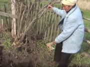 Tin tức - Lời "trấn an" ám ảnh của người đàn bà giết chồng cũ, giấu xác trong vườn