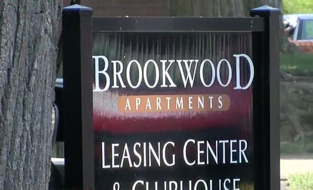 Liều nhảy xuống hồ cứu cậu bé đuối nước, người phụ nữ không ngờ làm được điều bất ngờ hơn - 3